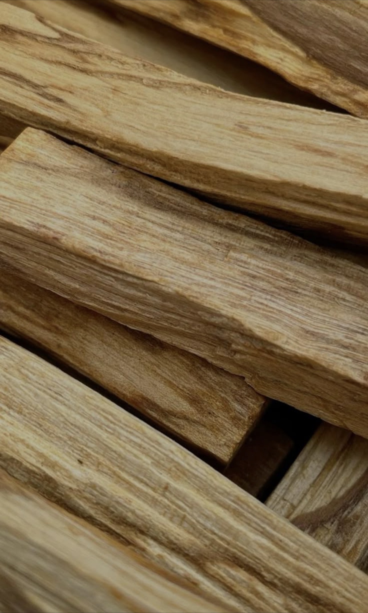 Palo Santo (madera sagrada)